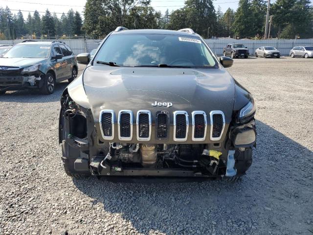 2015 JEEP CHEROKEE L 1C4PJMDS8FW533637