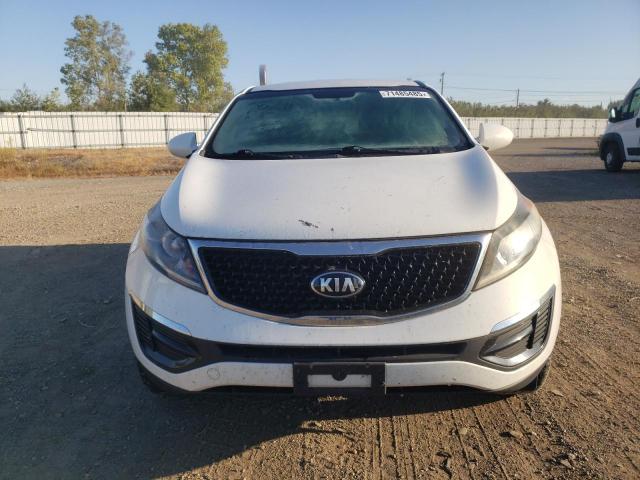 2016 KIA SPORTAGE L KNDPB3ACXG7868561