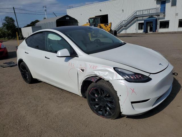 2021 TESLA MODEL Y - 5YJYGDEE5MF195188