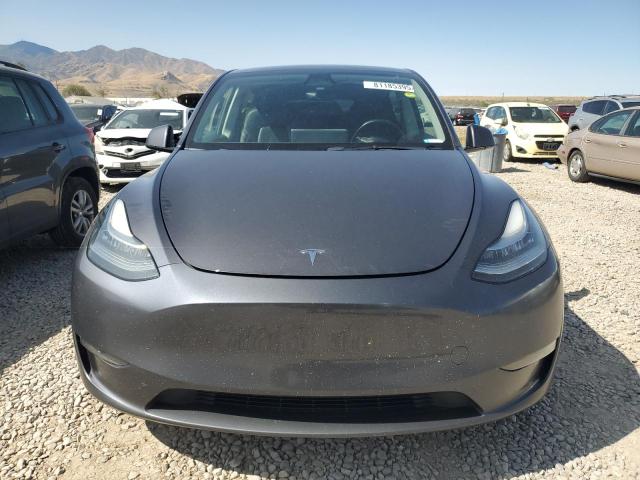 2023 TESLA MODEL Y #3286771888