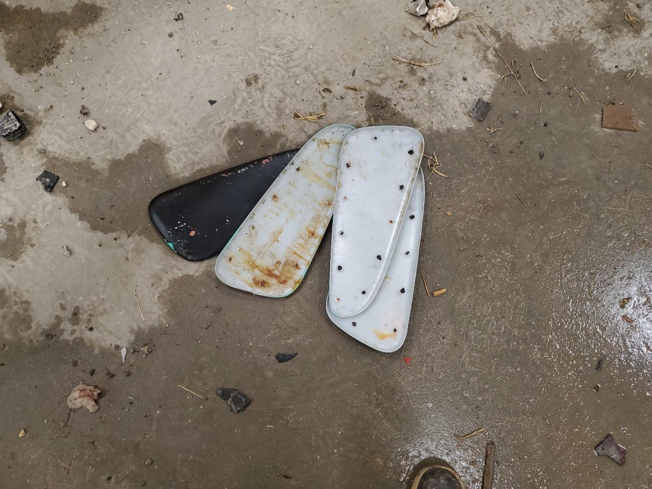 Lot #3274763213 2005 DODGE NEON SRT-4