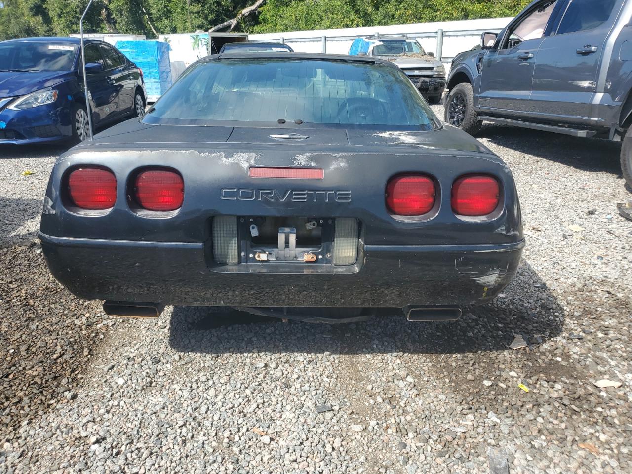 Lot #3255386437 1995 CHEVROLET CORVETTE