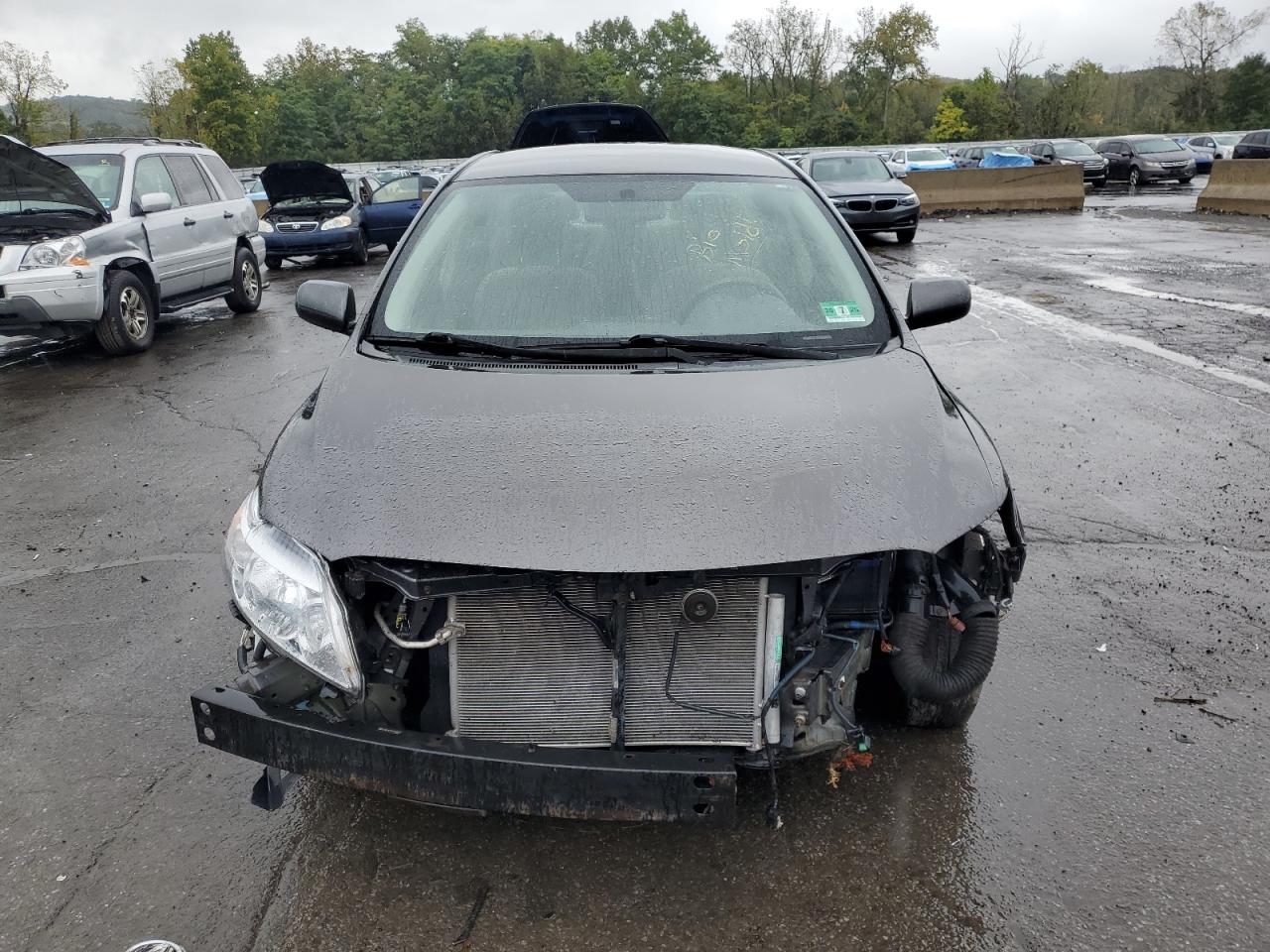 Lot #3261320474 2009 TOYOTA COROLLA BA