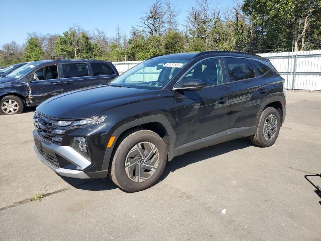 2025 HYUNDAI TUCSON BLU KM8JBDD10SU308219
