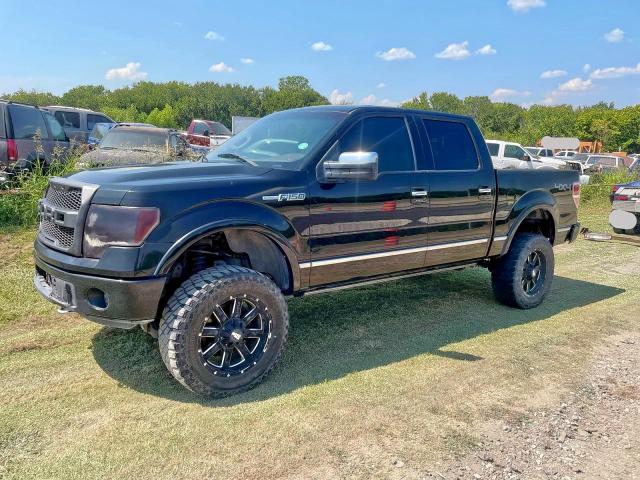 2010 FORD F150 SUPER - 1FTFW1EV7AFB49099