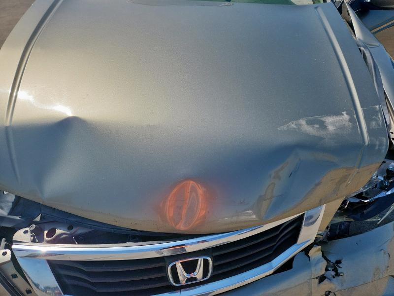 2010 HONDA ACCORD EX - 1HGCP2F7XAA005826