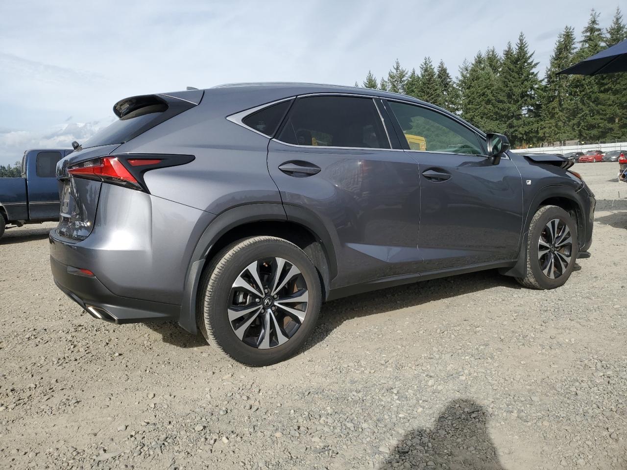 LEXUS NX 300 F SPORT