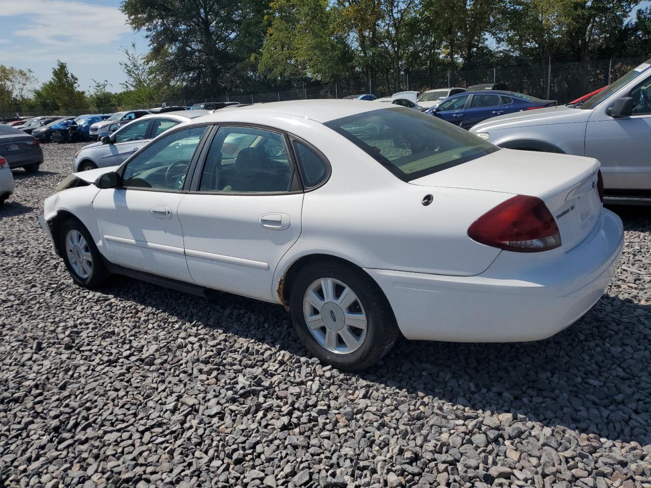 Lot #3256420381 2006 FORD TAURUS SE