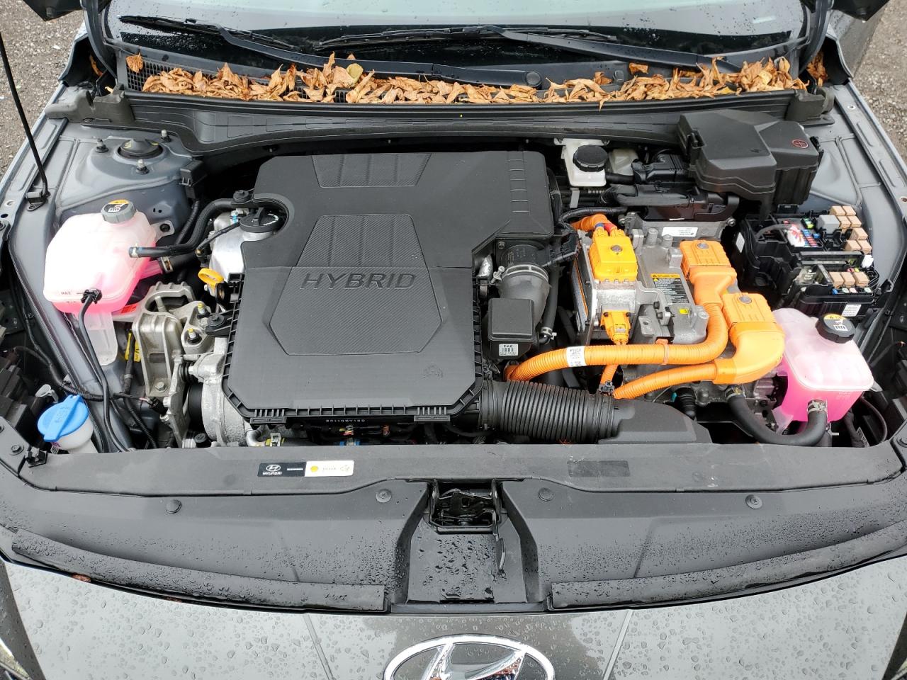 HYUNDAI ELANTRA LIMITED