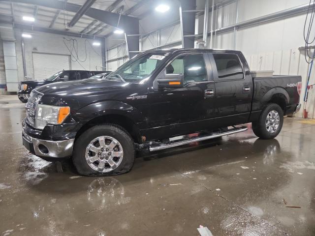 Global Auto Auctions: 2013 FORD F150 SUPERCREW