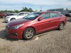 2016 HYUNDAI SONATA SE - 5NPE24AF8GH328306