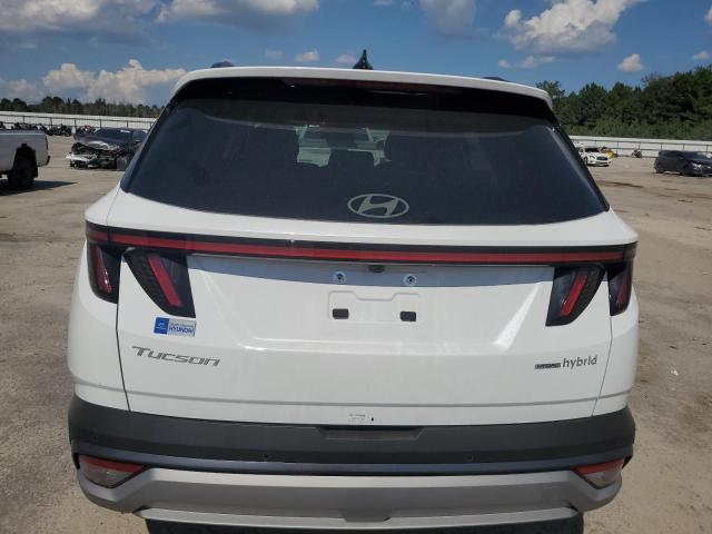 2025 HYUNDAI TUCSON LIM KM8JEDD18SU323977