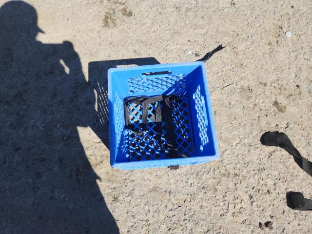 2024 HONDA GROM 125 #3306473201