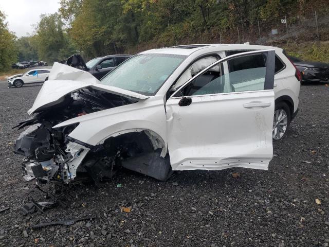 Global Auto Auctions: 2025 HONDA CR-V EXL