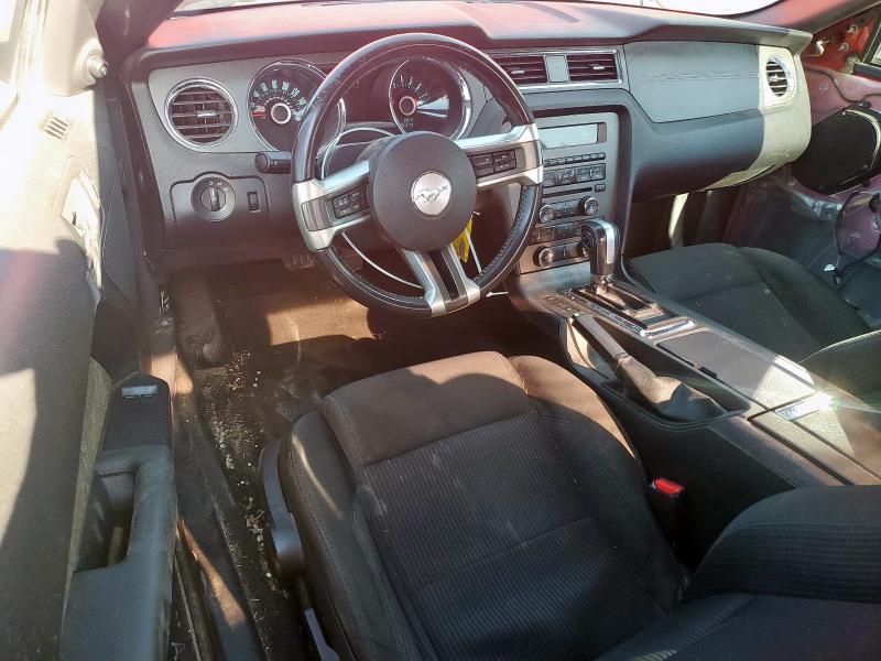 2013 FORD MUSTANG - 1ZVBP8AM5D5218588