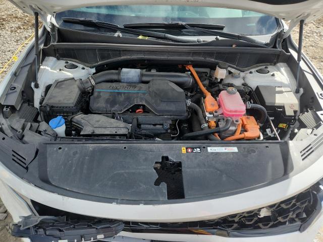 2022 KIA SORENTO S KNDRGDLG4N5081307