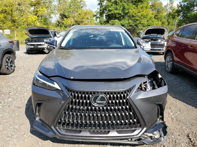 2024 LEXUS NX 250 BAS 2T2ADCAZ8RC007929