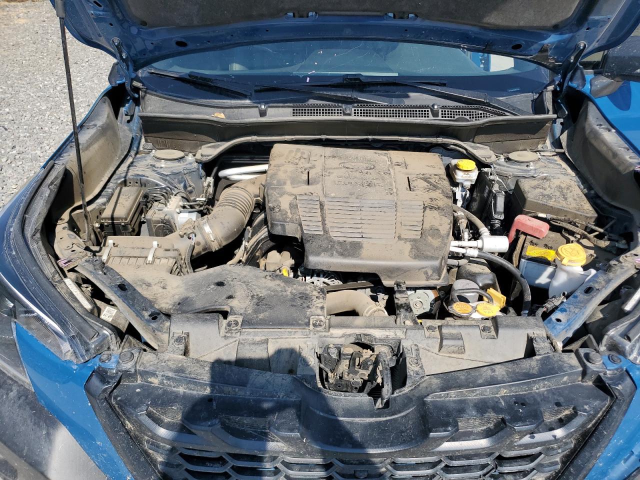 SUBARU FORESTER WILDERNESS