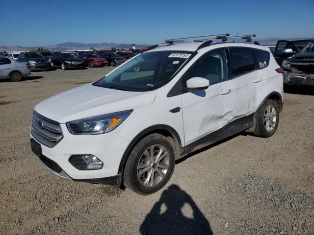 Global Auto Auctions: 2019 FORD ESCAPE SE