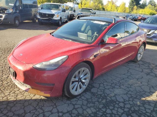 Global Auto Auctions: 2023 TESLA MODEL 3
