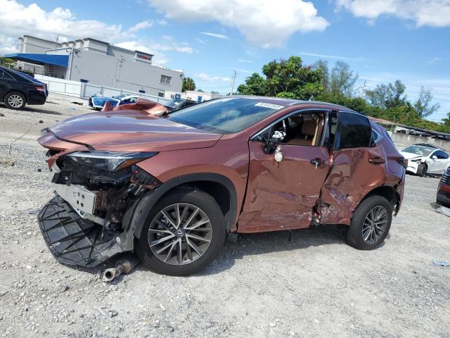 2025 LEXUS NX 250 BAS 2T2ADCAZ8SC022548