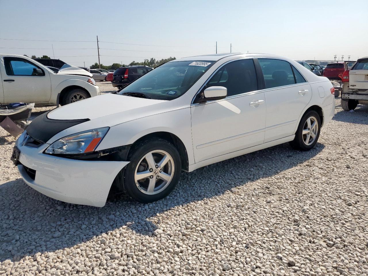 Lot #3291630242 2004 HONDA ACCORD EX