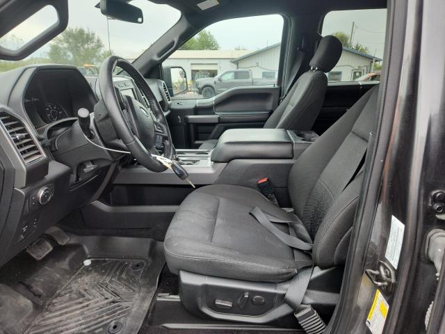 2020 FORD F150 1FTEW1CP6LFC38181