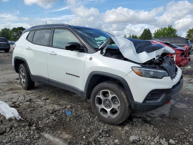 2022 JEEP COMPASS TR - 3C4NJDDB1NT234003