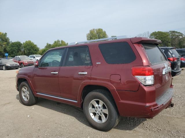 2010 TOYOTA 4RUNNER SR #3281579394