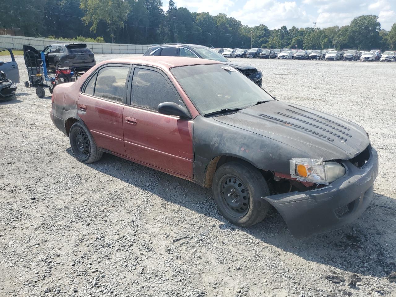 Lot #3290316934 1999 TOYOTA COROLLA VE