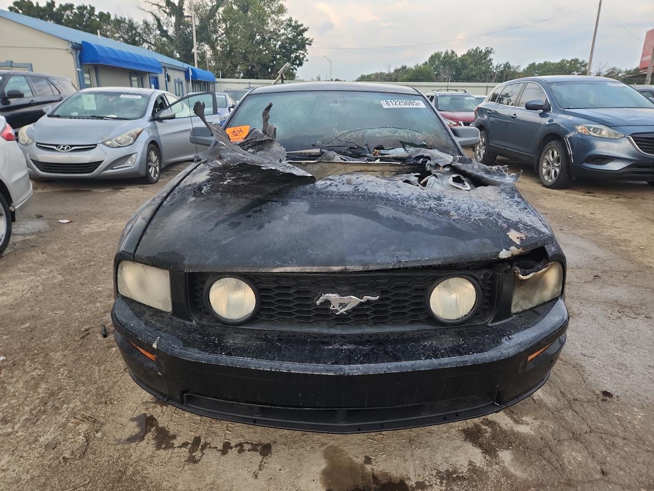 Lot #3287803094 2007 FORD MUSTANG GT