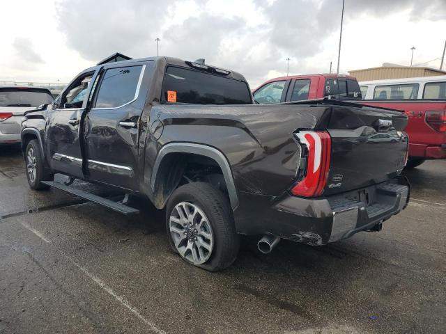 2025 TOYOTA TUNDRA CRE 5TFMC5DB4SX094119