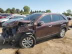 Lot #3292465675 2014 KIA SORENTO EX