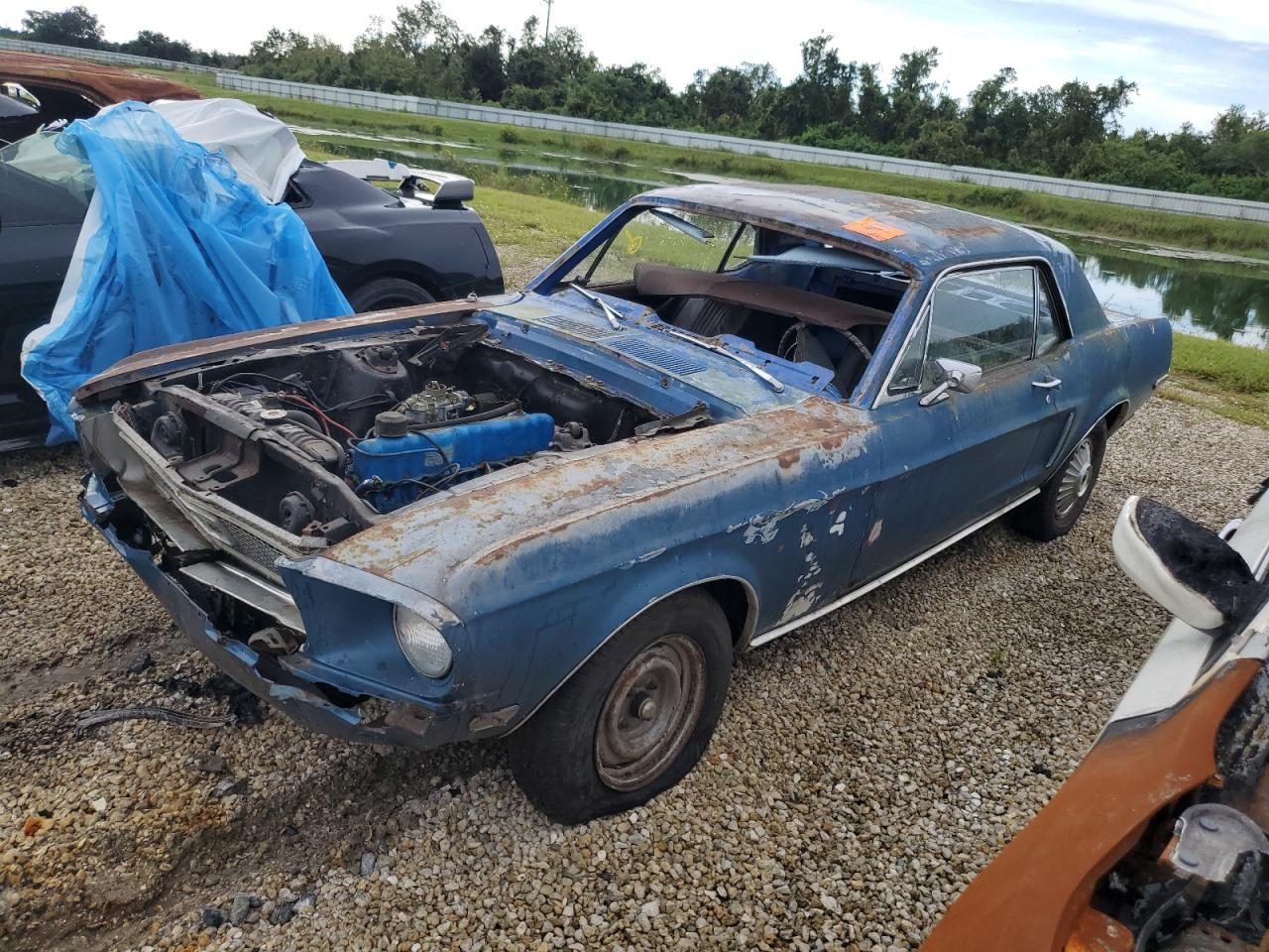 Lot #3302616392 1968 FORD MUSTANG