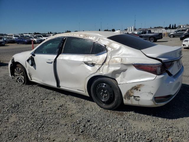 2021 LEXUS ES 300H 58ADA1C14MU011000