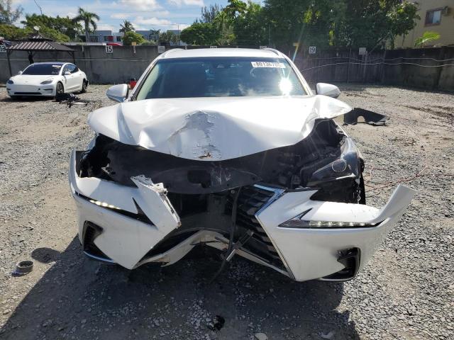 2019 LEXUS NX 300 BAS #3297055540