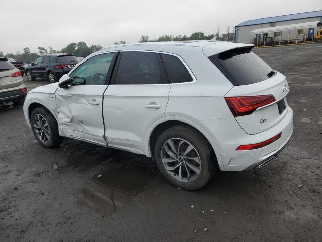 2023 AUDI Q5 WA1EAAFY6P2096392