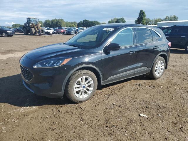 Global Auto Auctions: 2020 FORD ESCAPE SE