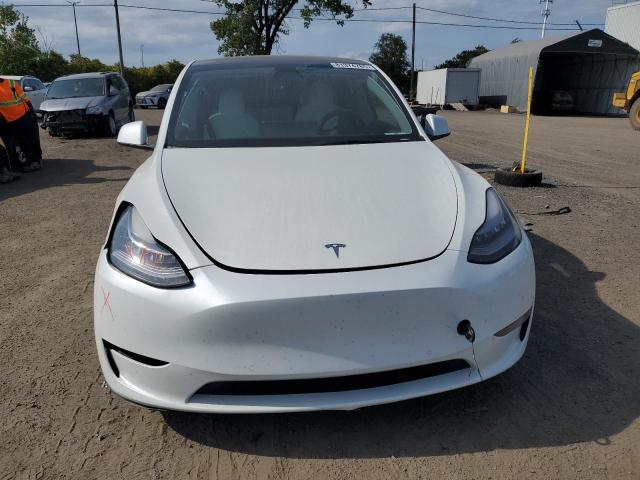 2021 TESLA MODEL Y - 5YJYGDEE5MF195188