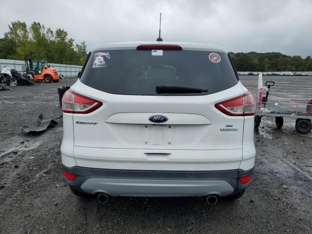2013 FORD ESCAPE SE - 1FMCU0GX1DUC48658