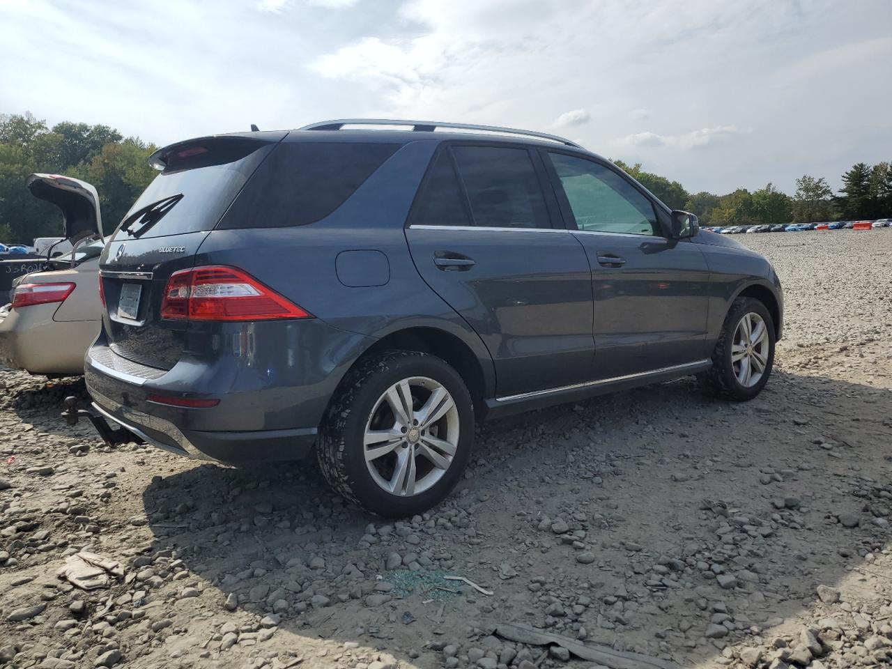 MERCEDES-BENZ M-CLASS 250 BLUETEC