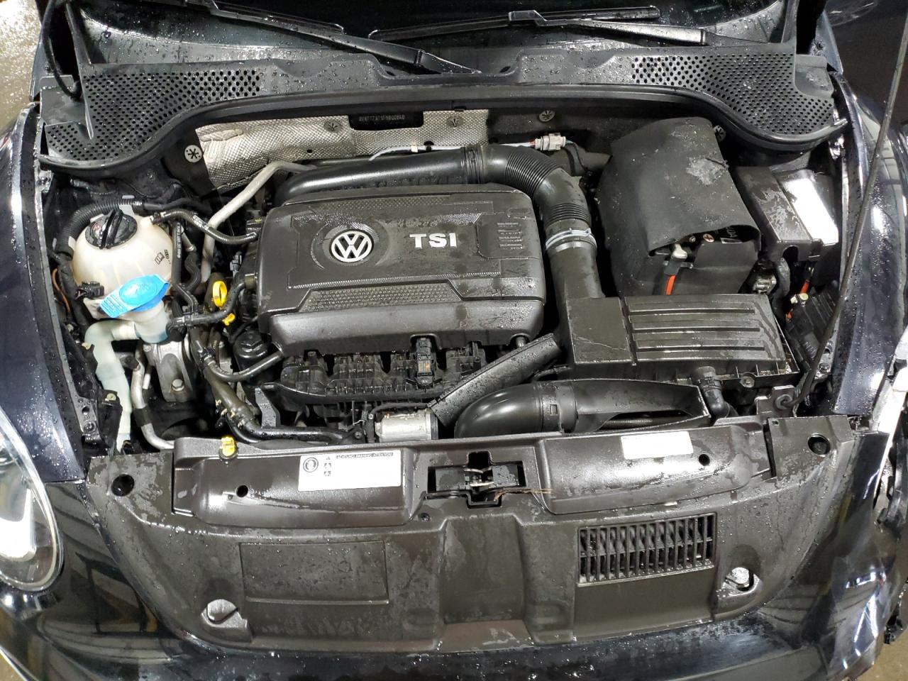 VOLKSWAGEN BEETLE R-LINE