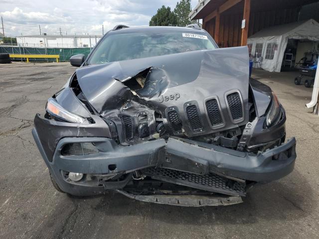 2016 JEEP CHEROKEE TRAILHAWK - 1C4PJMBS8GW246108