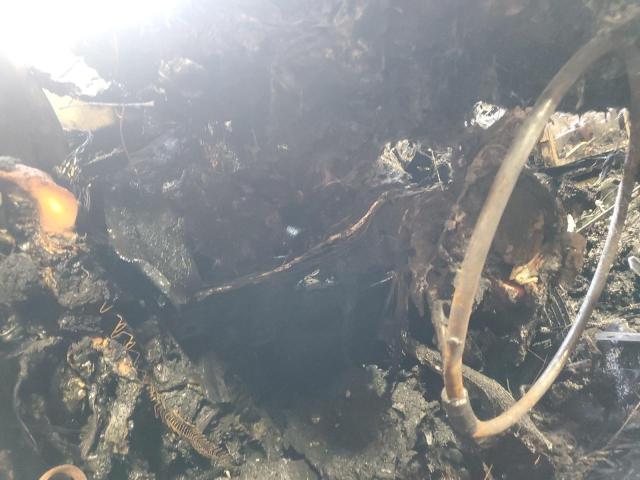 2016 FORD EXPLORER SPORT 1FM5K8GT3GGA56574