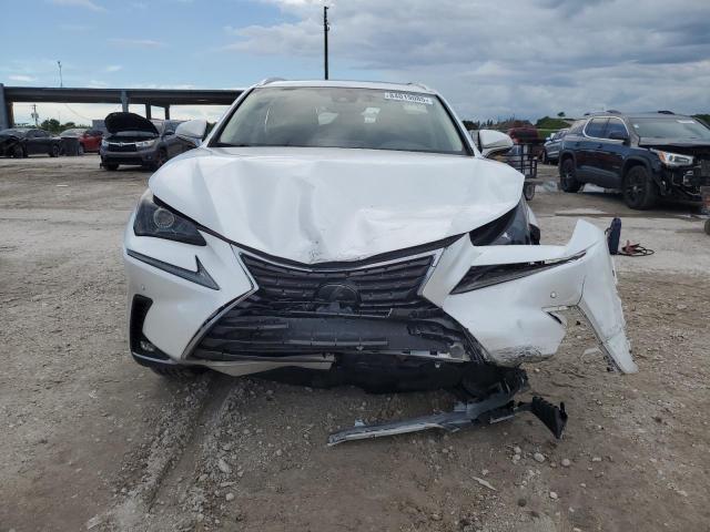 2020 LEXUS NX 300 JTJGARBZ4L5006657
