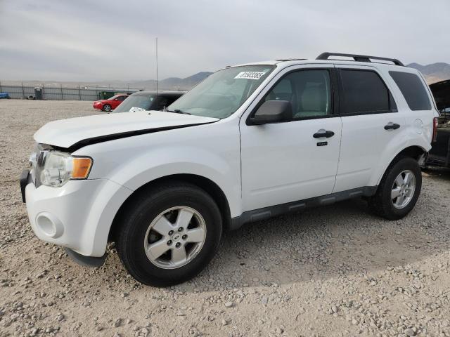 Global Auto Auctions: 2012 FORD ESCAPE XLT
