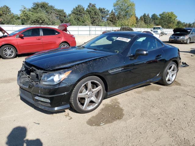 2013 MERCEDES-BENZ SLK 250 - WDDPK4HA2DF061257