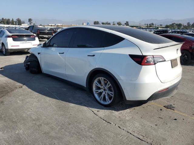 2022 TESLA MODEL Y 7SAYGDEE6NF428564