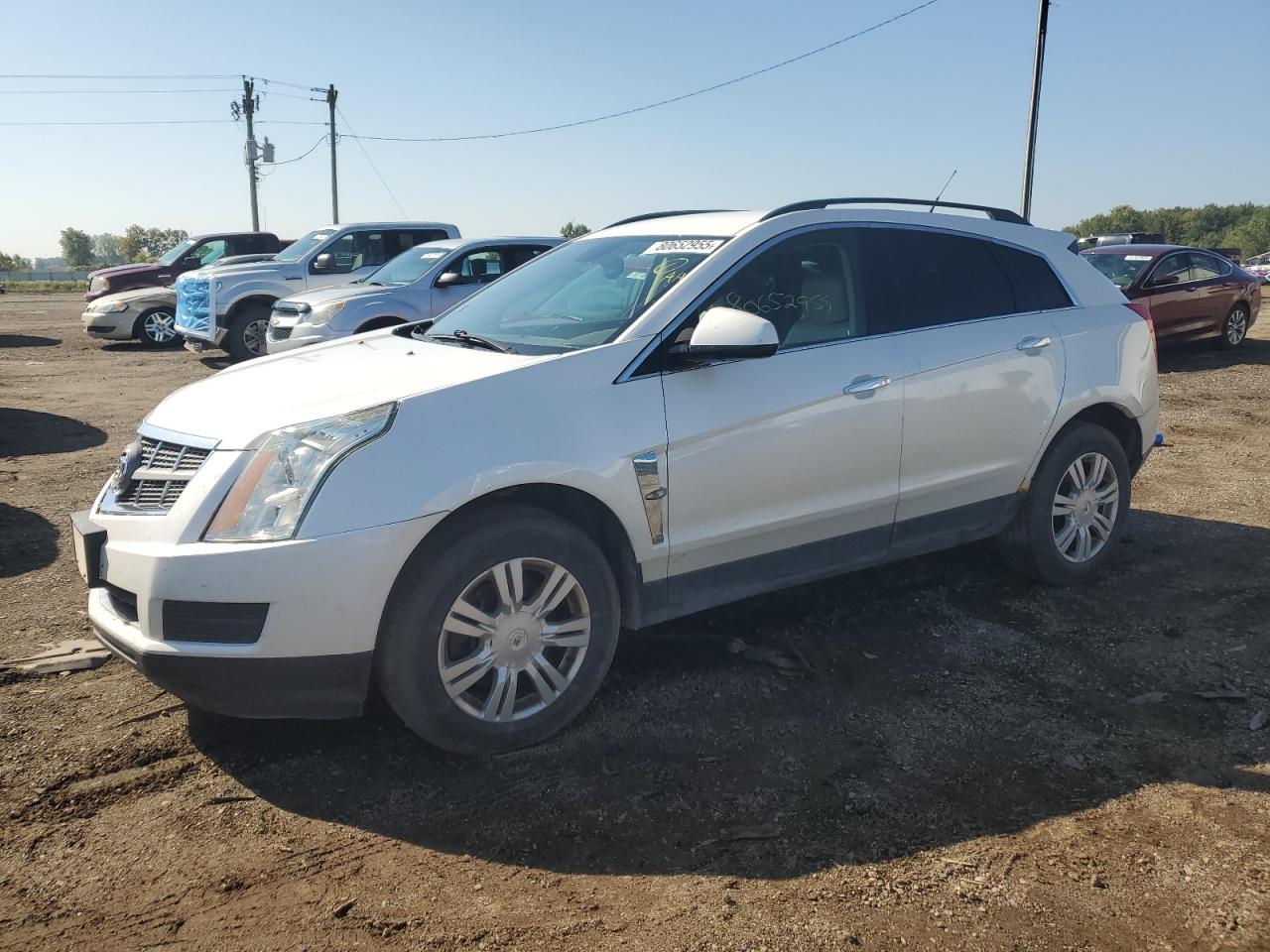 Фото авто