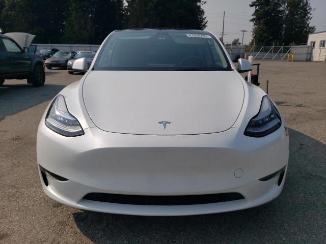2023 TESLA MODEL Y 7SAYGDEE0PA067140